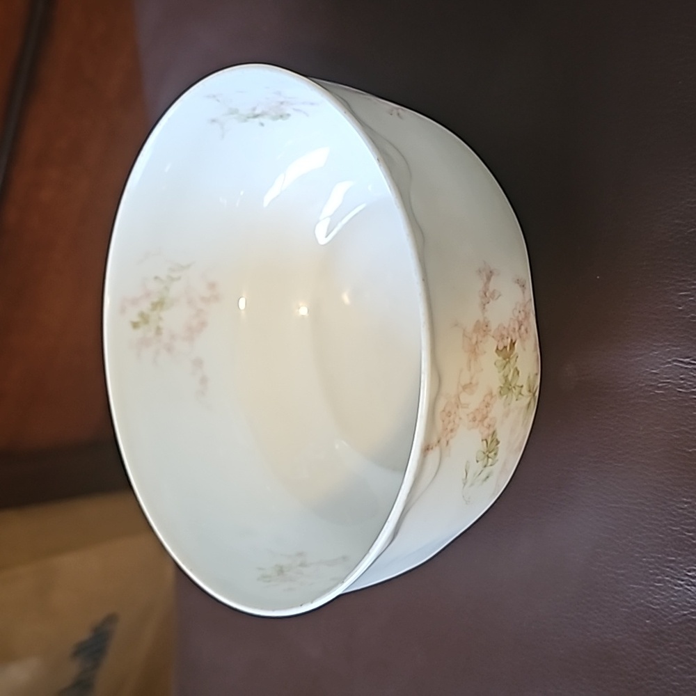 Vintage Limoges Porcelain Bowl
